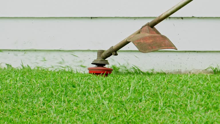 How Our Tree Care Process Works  in  Tybee Island, GA